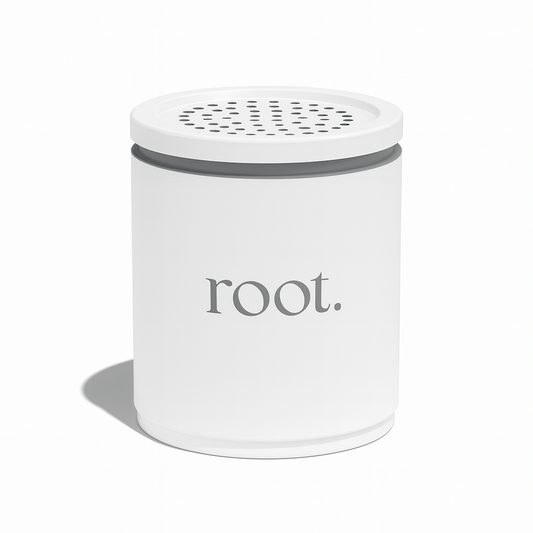 root. Filter Replacement